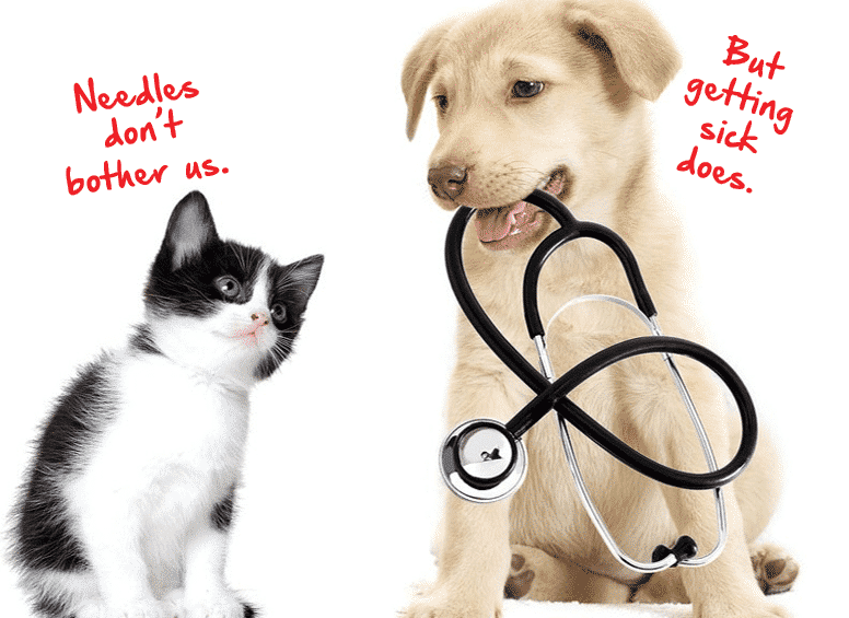 Reduced Cost Vaccine Clinic-Woodstock Veterinary Hospital